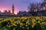 Spring statement 2024: six predictions for small businesses