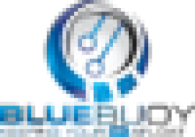 BlueBuoyIT
