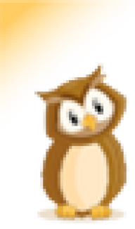 AndyOwl