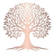 thehomegardenc