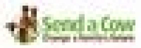 SendaCow