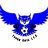 Young Owls