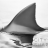 CitySharks