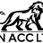 ZN_Accountants