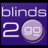 Blinds Girl