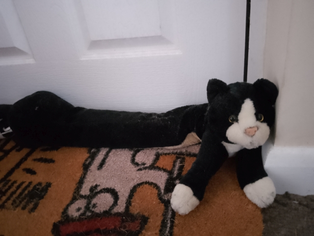 cat-640.jpg