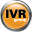 www.theivrgroup.com